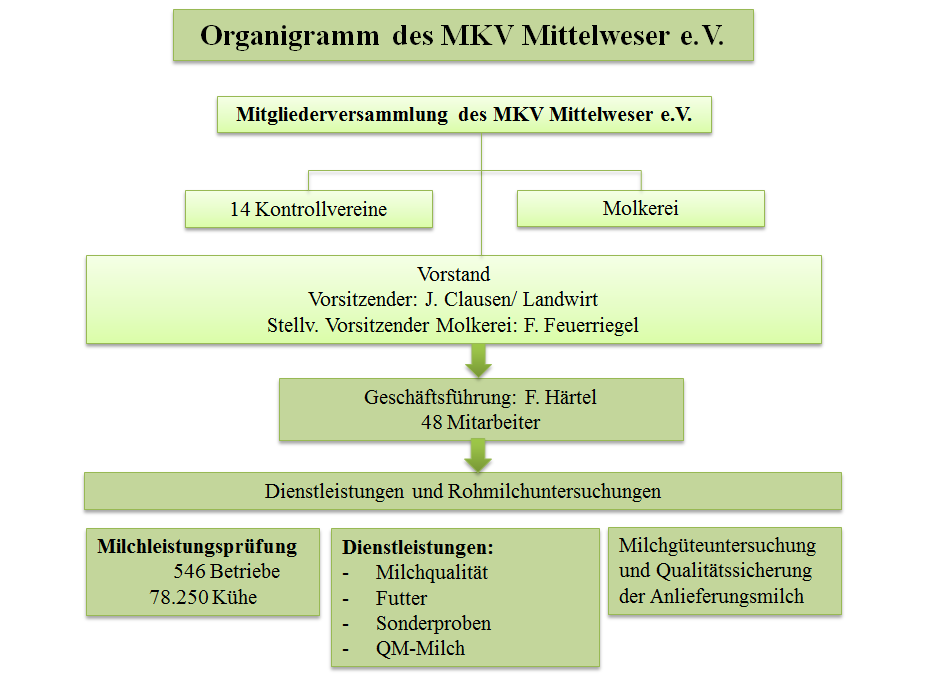 organigramm1